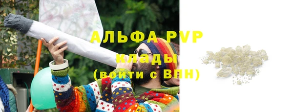 крисы Аркадак