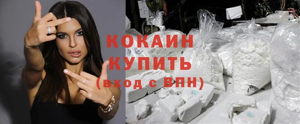 крисы Аркадак