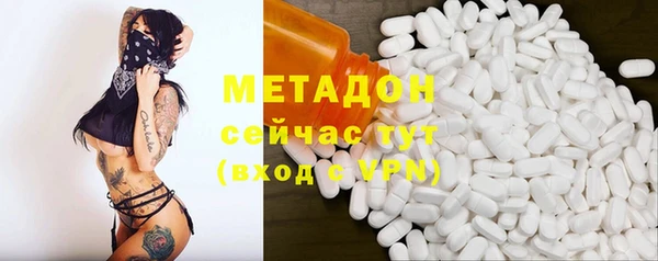 трава Няндома