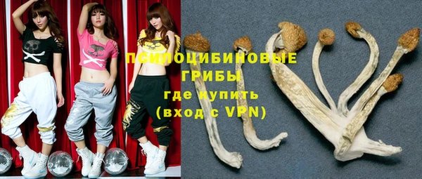 МДПВ Арсеньев