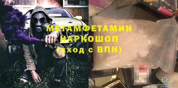 трава Няндома