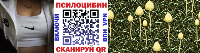 что такое наркотик Северобайкальск Псилоцибиновые грибы MAGIC MUSHROOMS